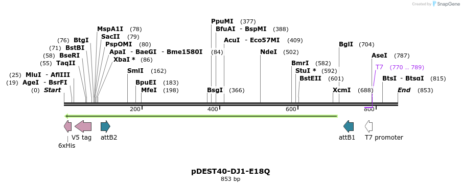 34768_map