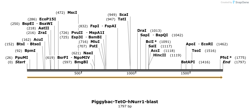 347837_map