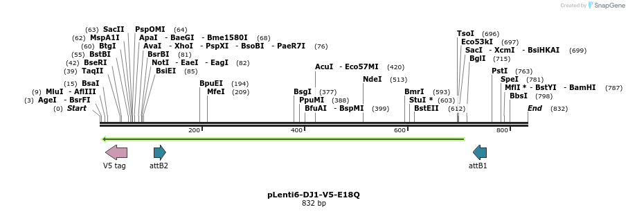 34787_map