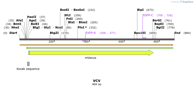 34794_map