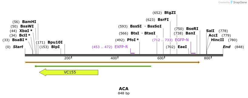 34797_map