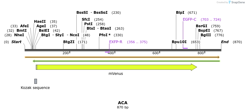 34798_map