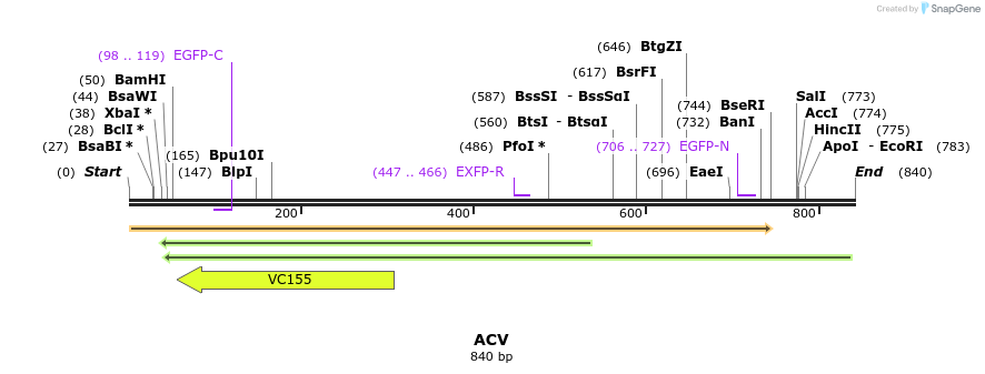 34799_map
