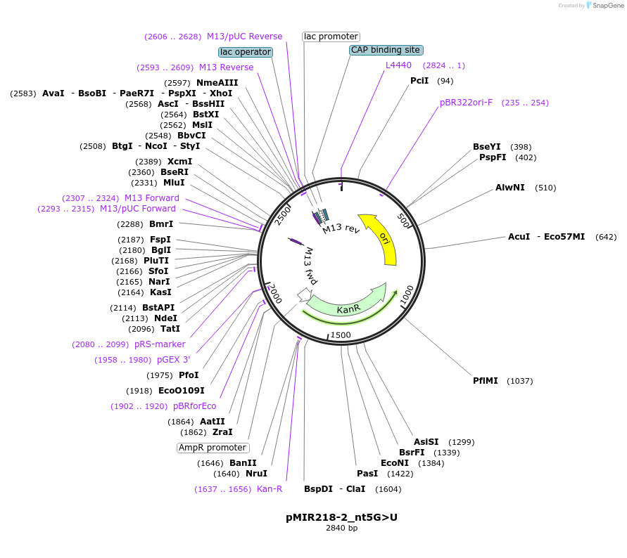 348020_map