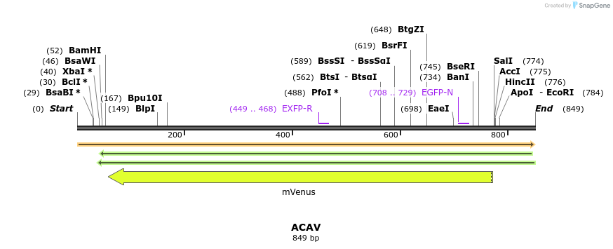 34803_map