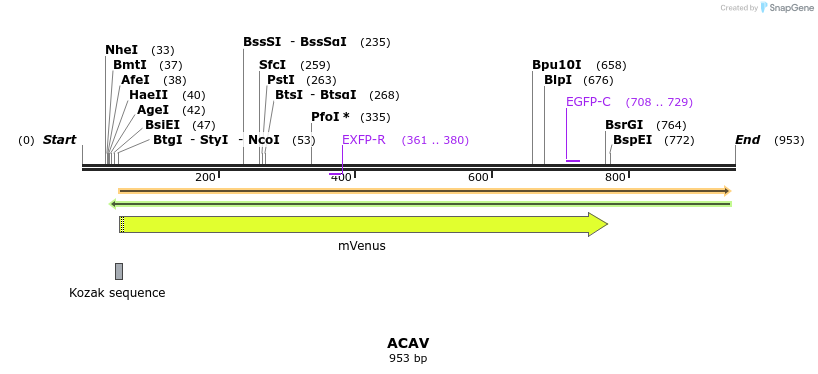 34804_map