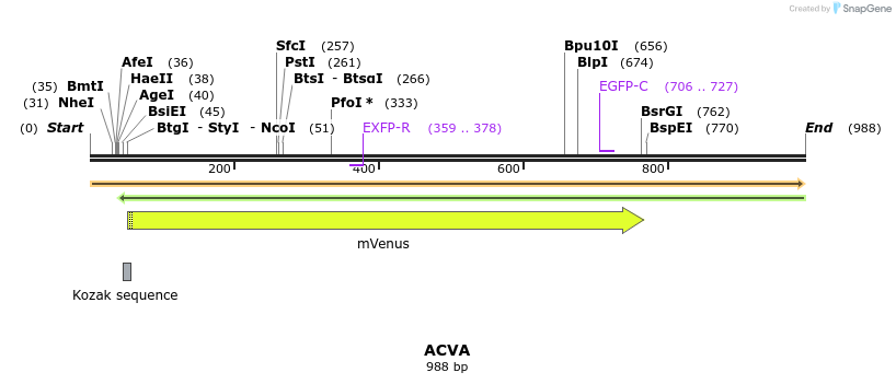 34806_map