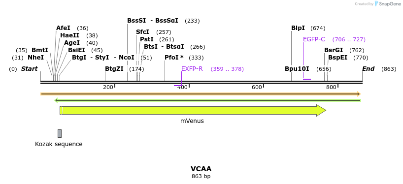 34808_map