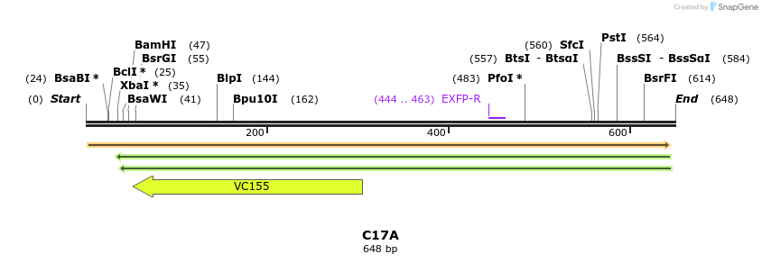 34817_map