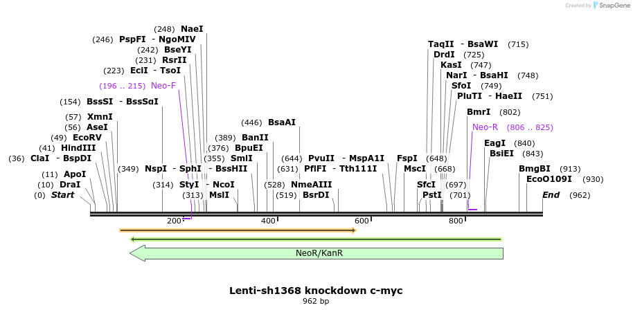 34825_map