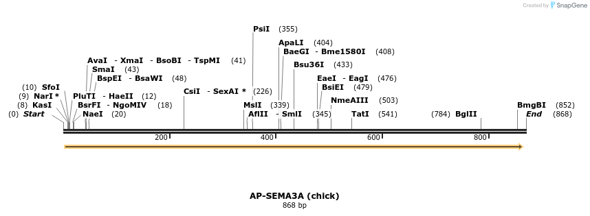 34826_map