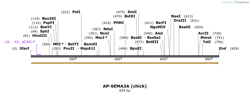 34827_map