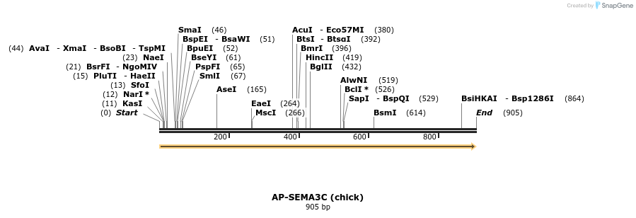 34833_map