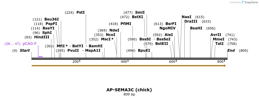 34834_map