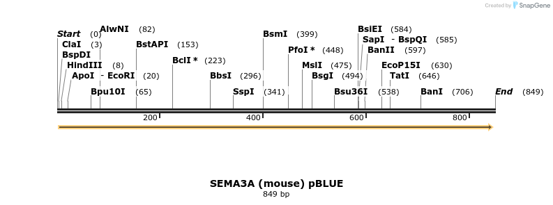 34835_map