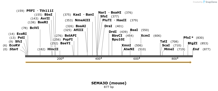 34839_map