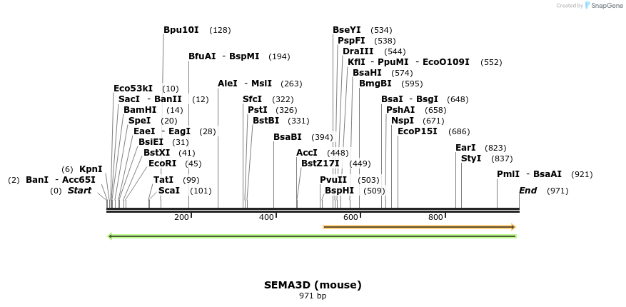34840_map
