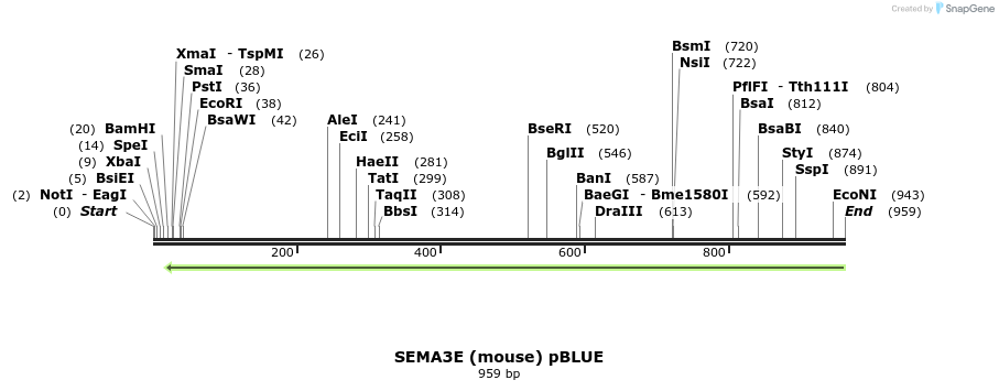 34842_map