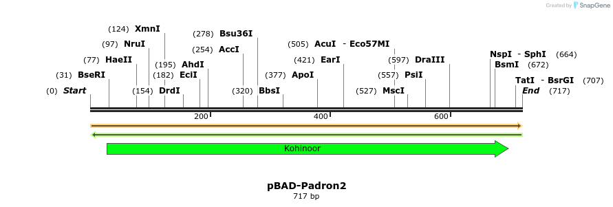 348450_map