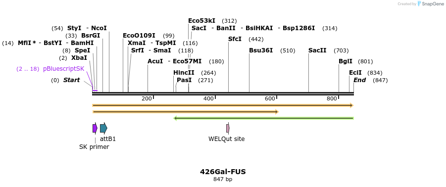 34873_map