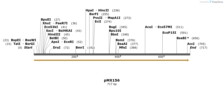 34876_map