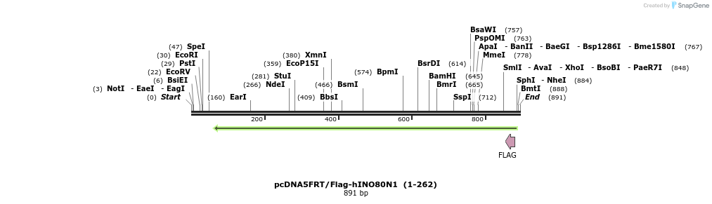 34889_map