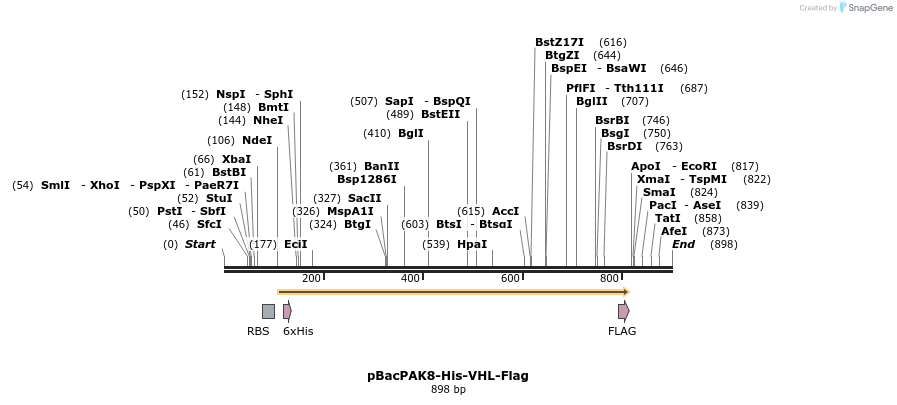 34900_map