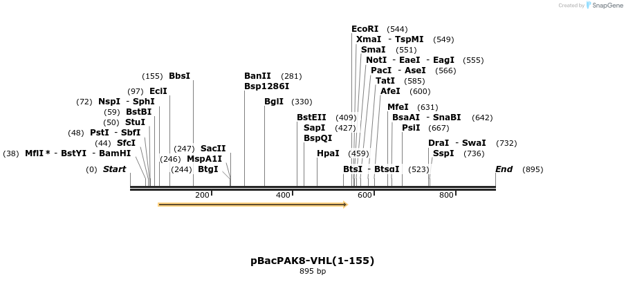 34902_map