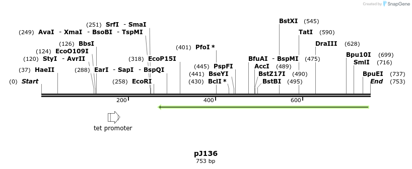 34911_map