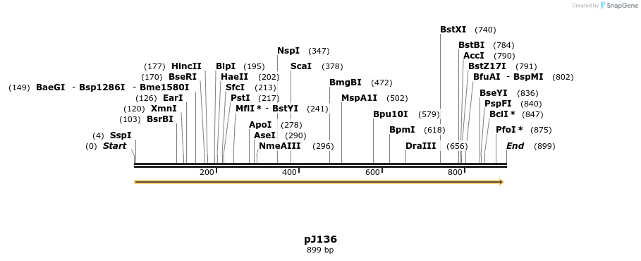 34912_map