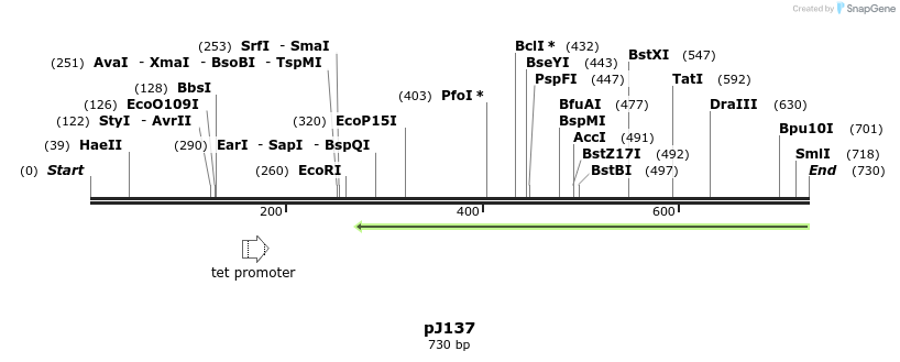 34913_map
