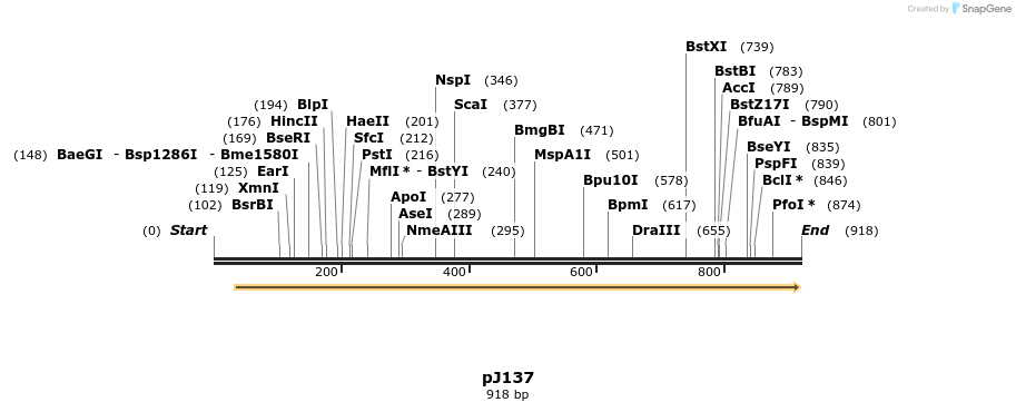 34914_map
