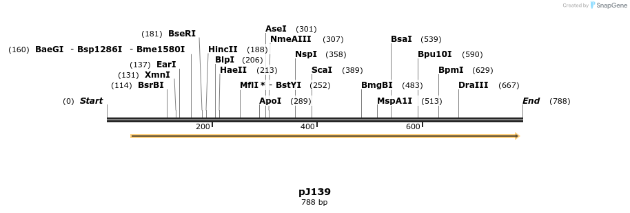 34918_map