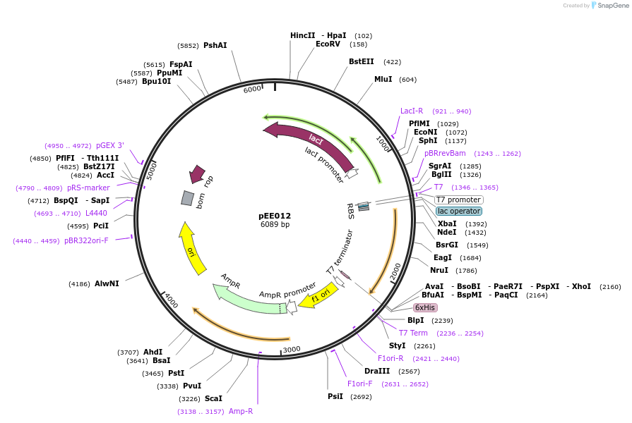 349202_map