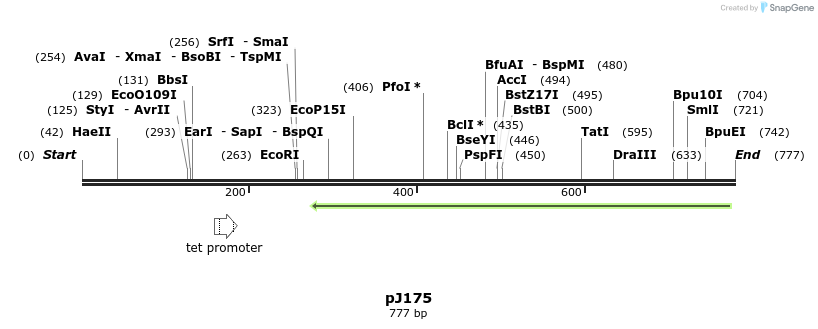 34925_map