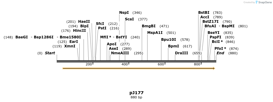 34928_map
