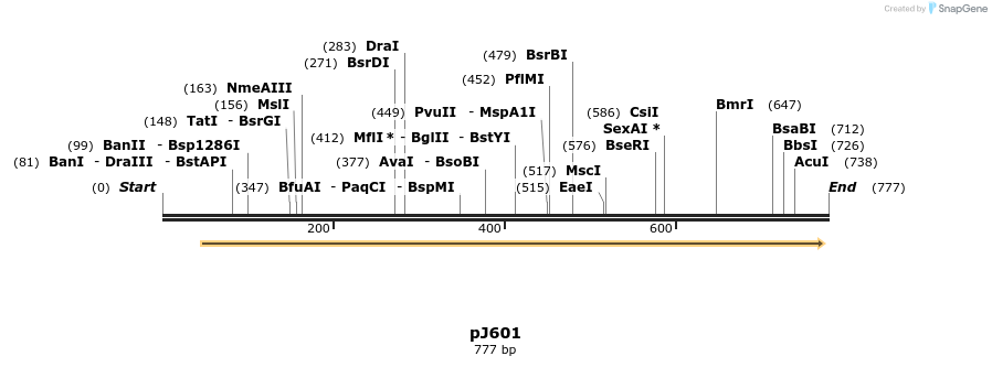 34931_map
