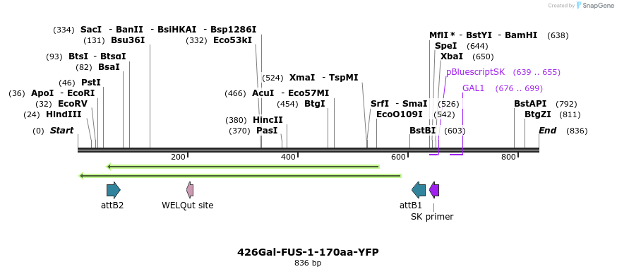 34941_map