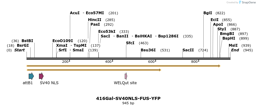34942_map