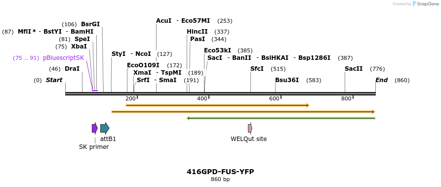 34944_map