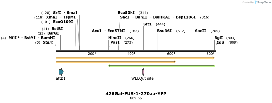 34946_map