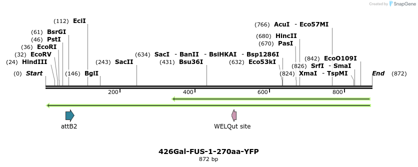 34947_map