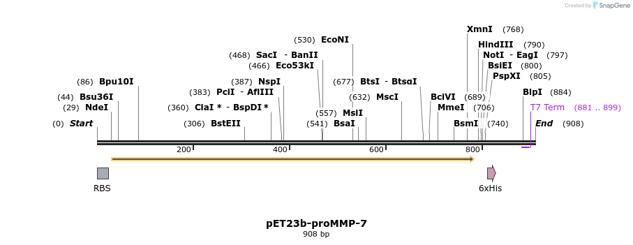 34948_map