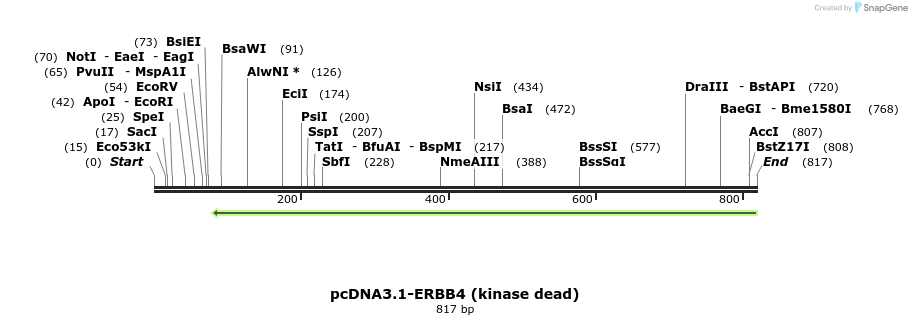 34954_map