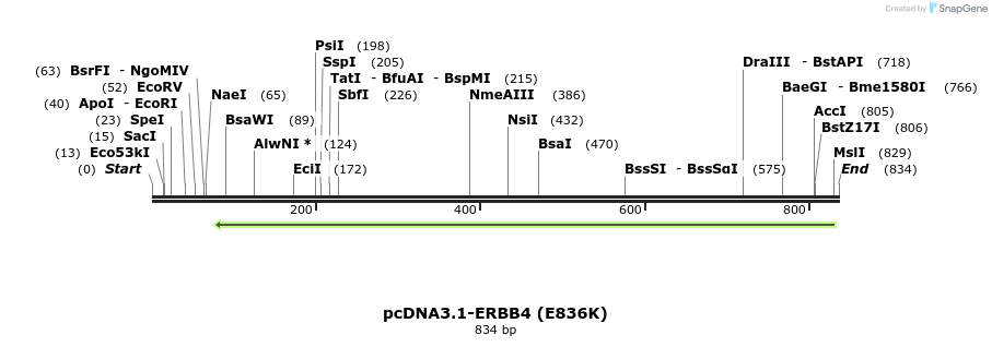 34955_map