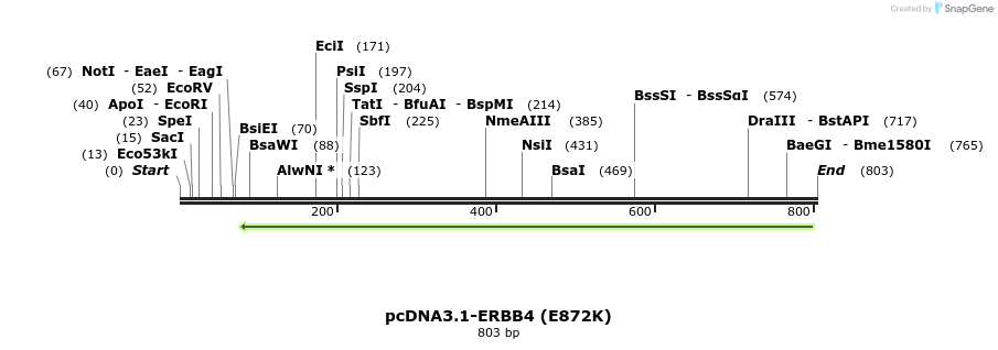 34956_map
