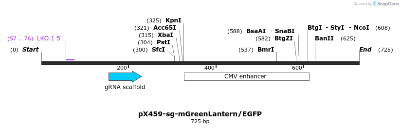 349564_map