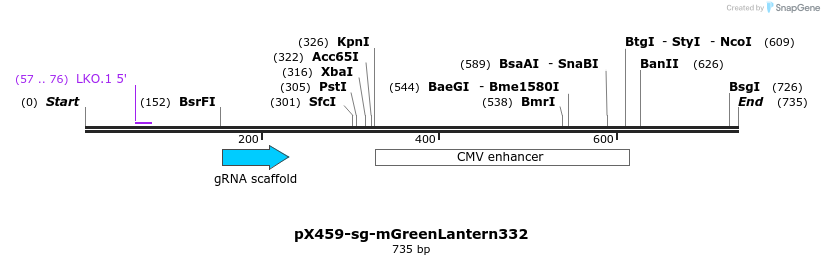 349566_map