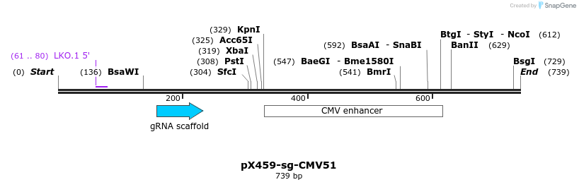349568_map