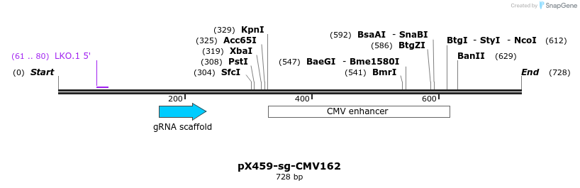 349572_map